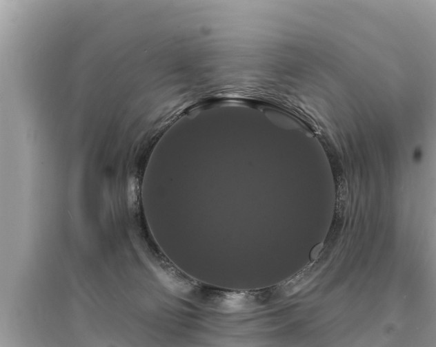 X0000095550130200712211418