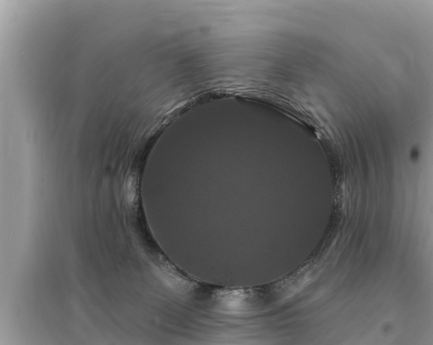 X0000095550131200712211418