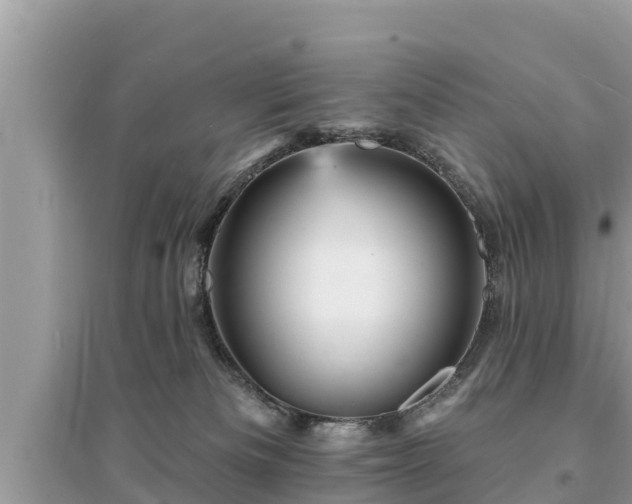 X0000095550133200712211418