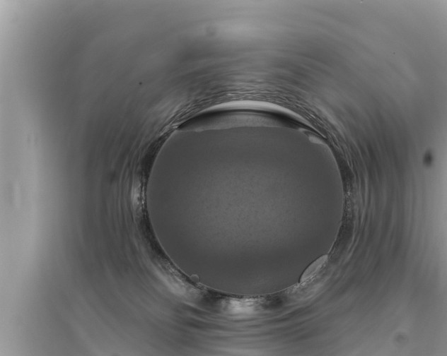 X0000095550134200712211418