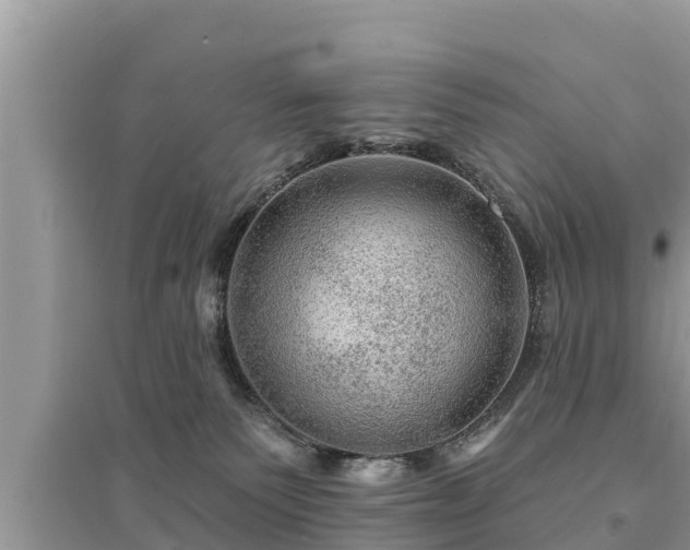 X0000095550135200712211418