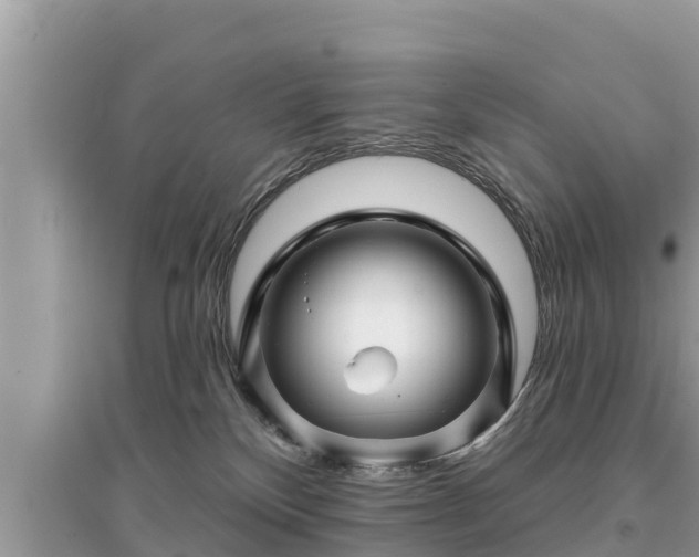 X0000095550136200712211418