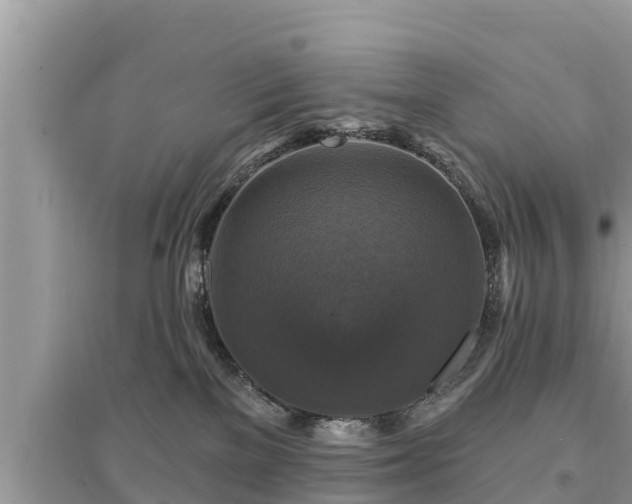 X0000095550137200712211418