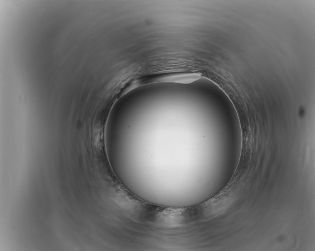 X0000095550138200712211418