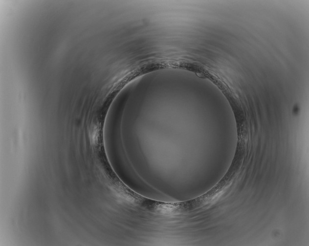 X0000095550139200712211418