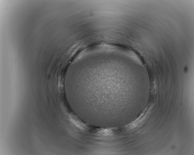 X0000095550140200712211418