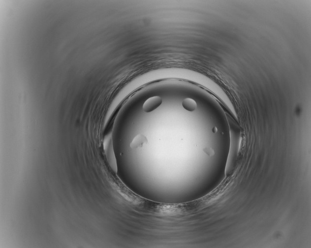 X0000095550141200712211418