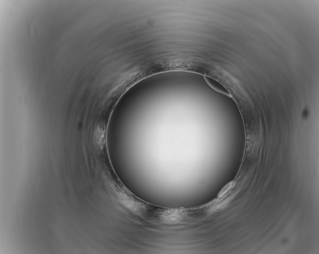 X0000095550142200712211418