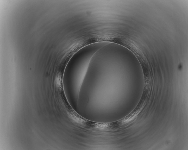 X0000095550143200712211418