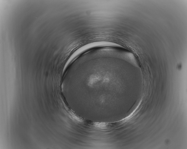 X0000095550144200712211418