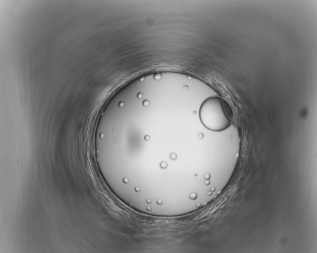 X0000095550145200712211417