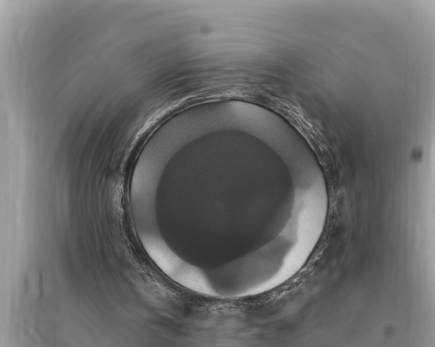 X0000095550146200712211417