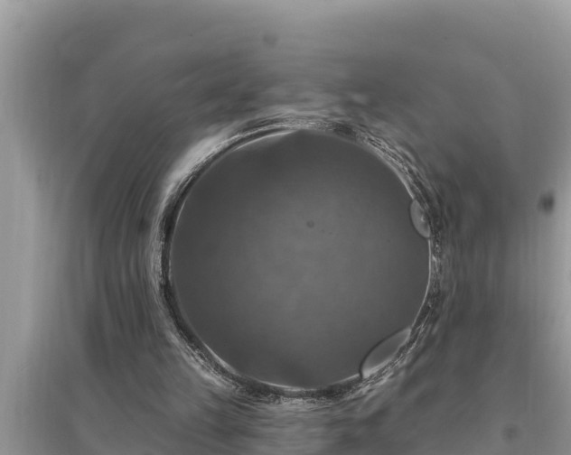 X0000095550149200712211417