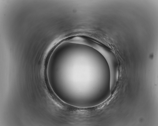 X0000095550150200712211417