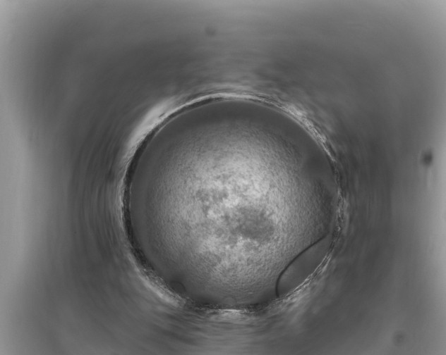 X0000095550151200712211417