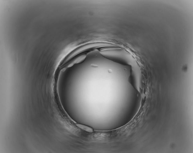 X0000095550152200712211417