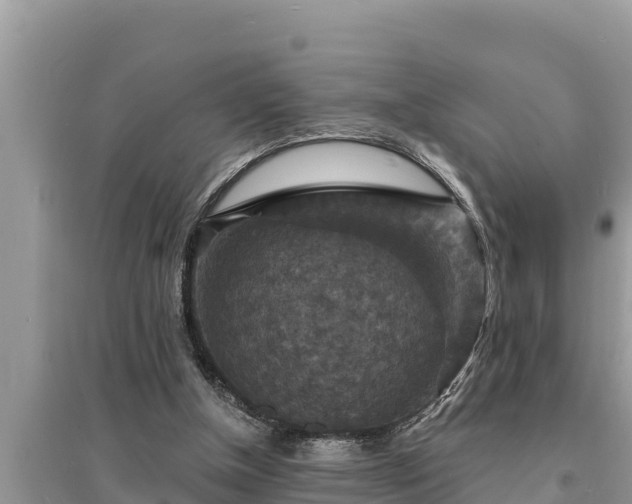 X0000095550154200712211417