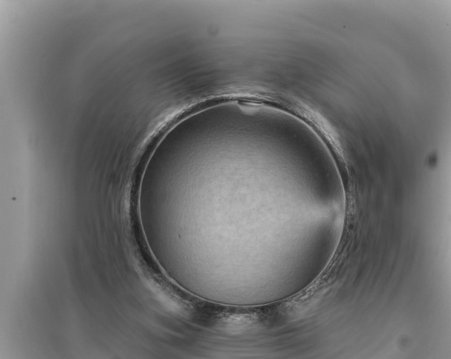 X0000095550155200712211417