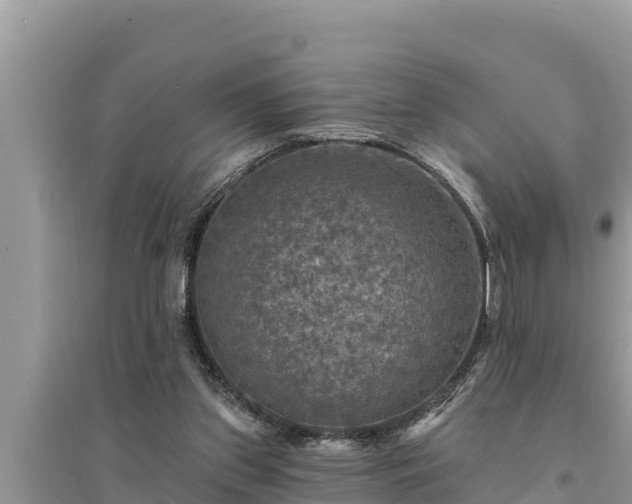 X0000095550157200712211417