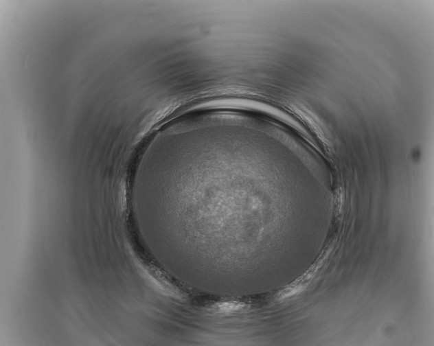 X0000095550158200712211417