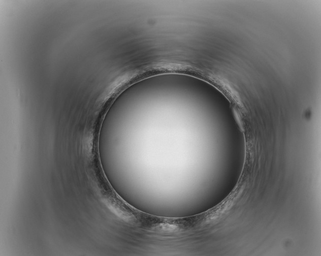 X0000095550159200712211417