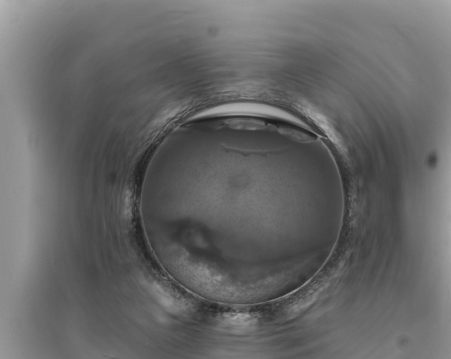 X0000095550161200712211417