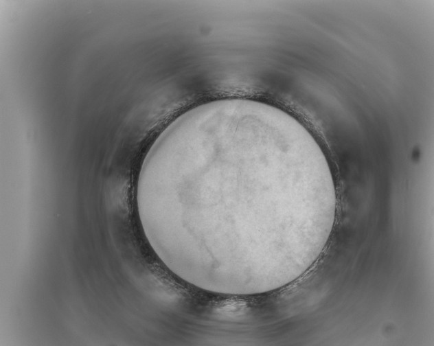 X0000095550162200712211417