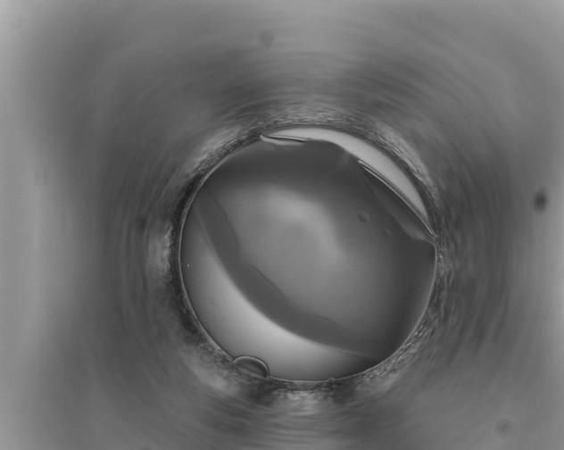 X0000095550163200712211417