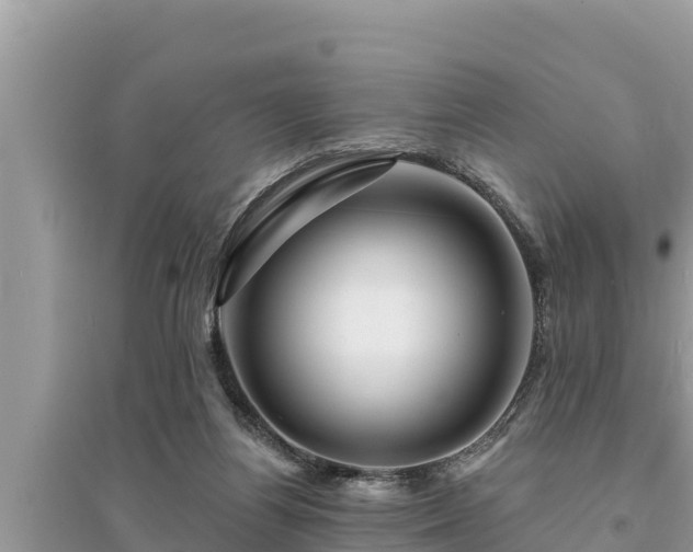 X0000095550164200712211417