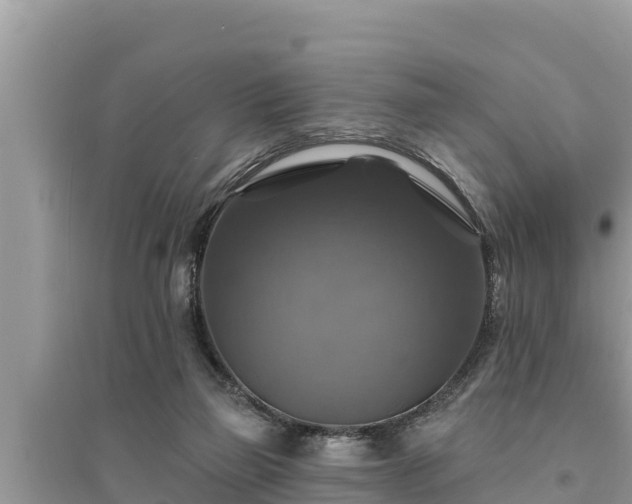 X0000095550165200712211417