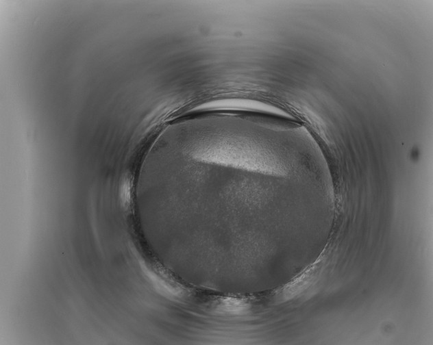 X0000095550166200712211417