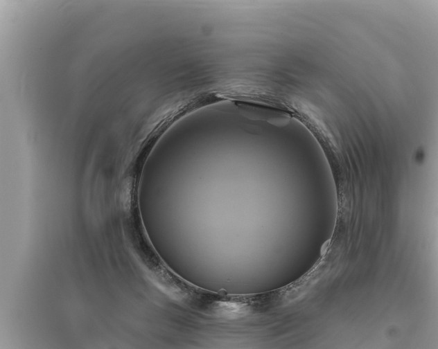 X0000095550167200712211417