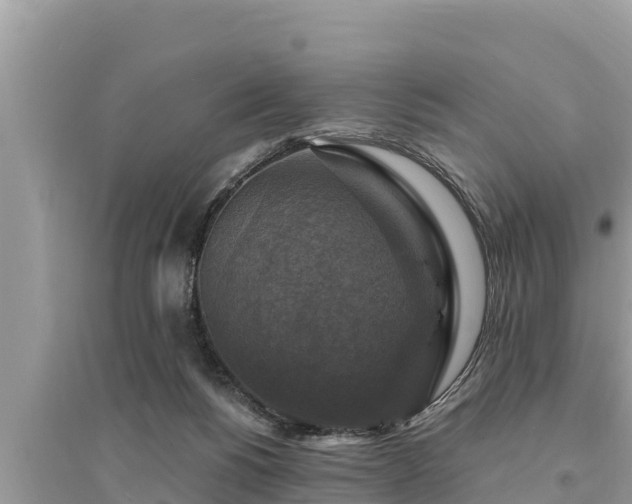 X0000095550168200712211417