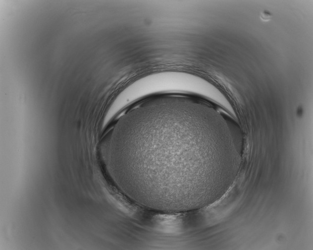 X0000095550170200712211417