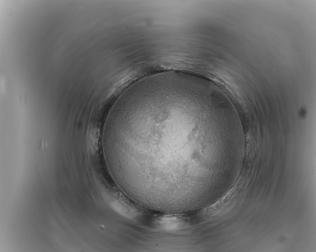 X0000095550171200712211417