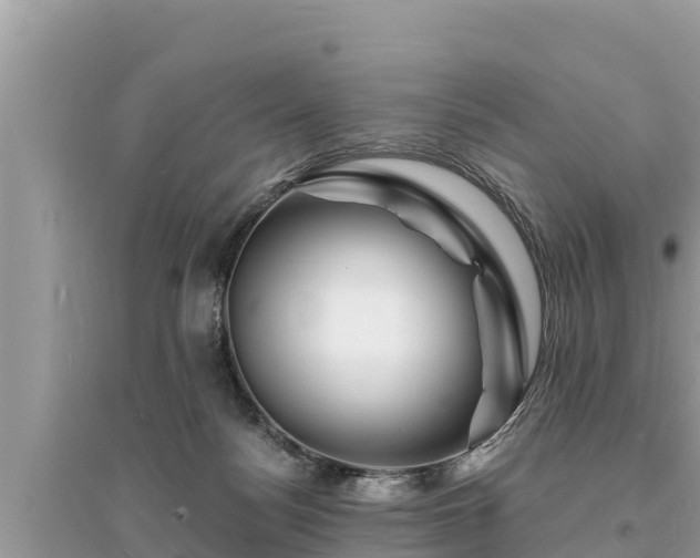 X0000095550172200712211417