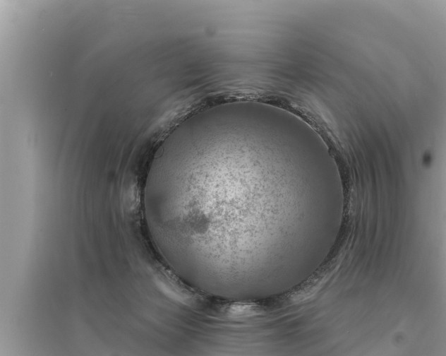 X0000095550173200712211417