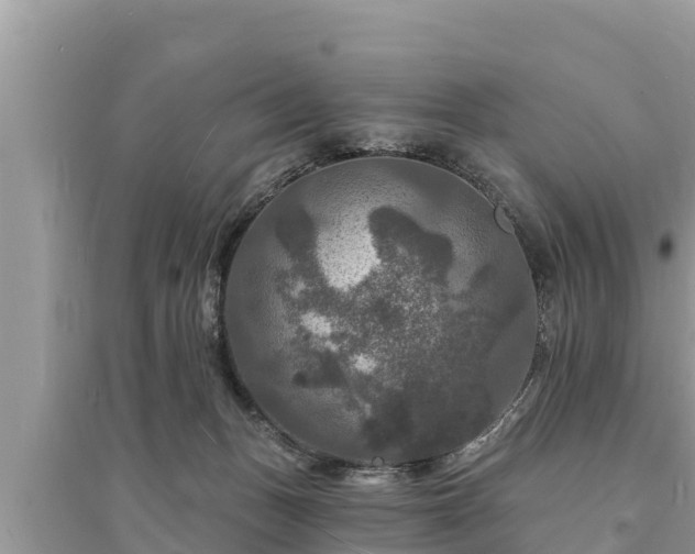 X0000095550175200712211417