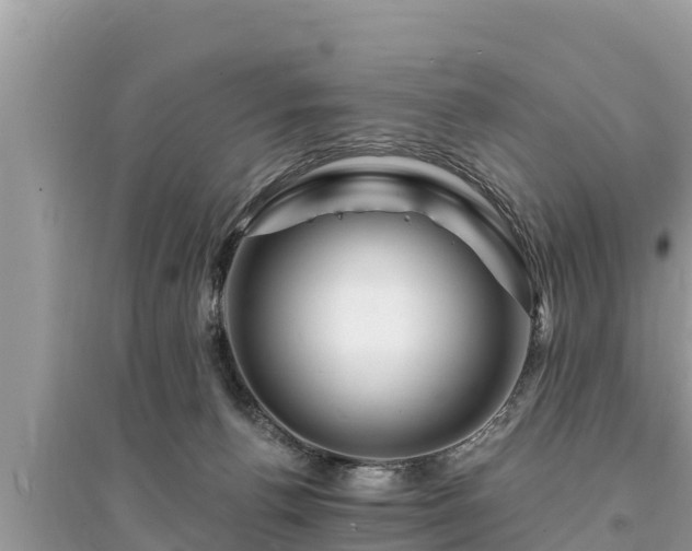 X0000095550176200712211417