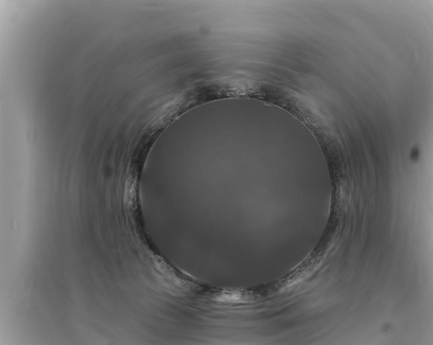 X0000095550177200712211417