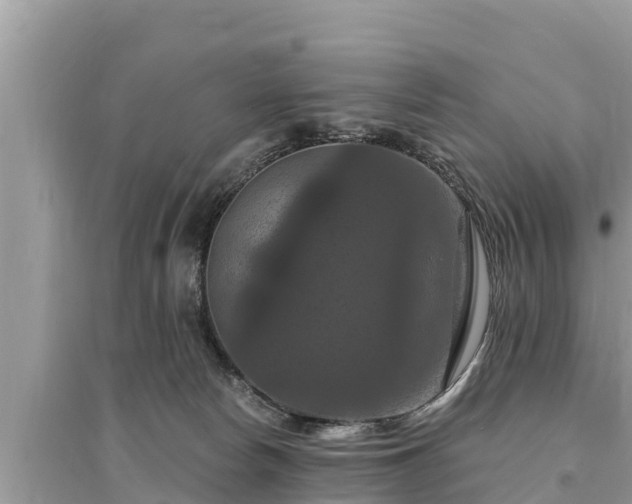 X0000095550178200712211417