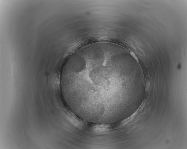 X0000095550179200712211417