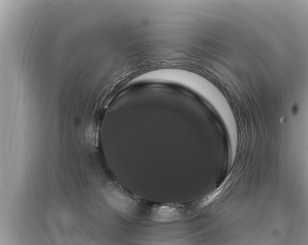 X0000095550180200712211417