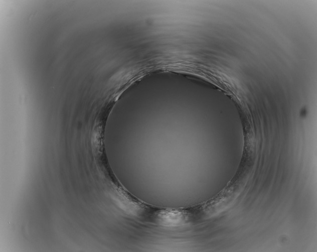 X0000095550181200712211417