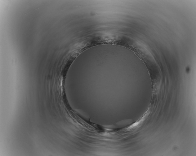 X0000095550182200712211417