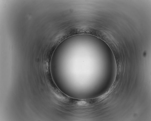 X0000095550183200712211417