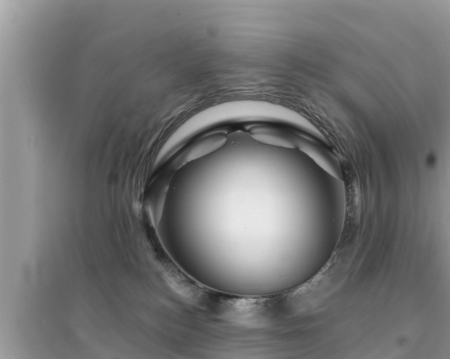 X0000095550184200712211417