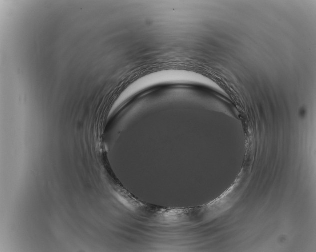 X0000095550186200712211418