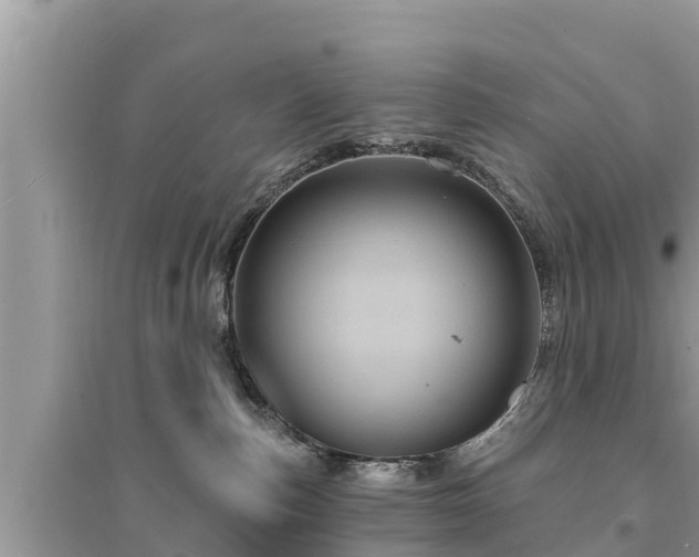 X0000095550187200712211418