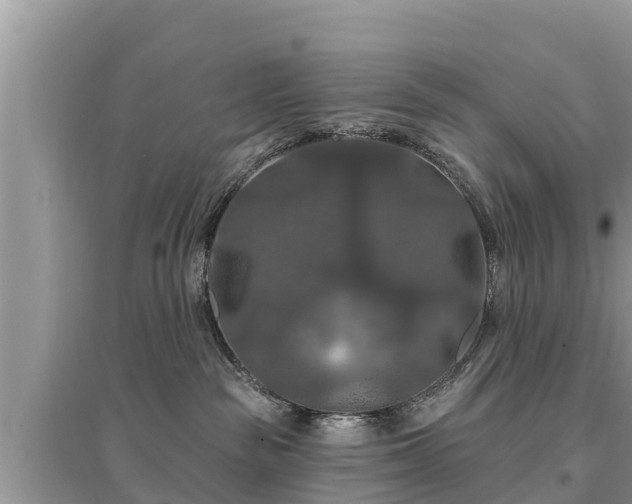 X0000095550189200712211418